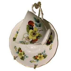 Royal Vale Flower & Rosehips English Fine Bone China Tea Cup & Saucer Tea Set
